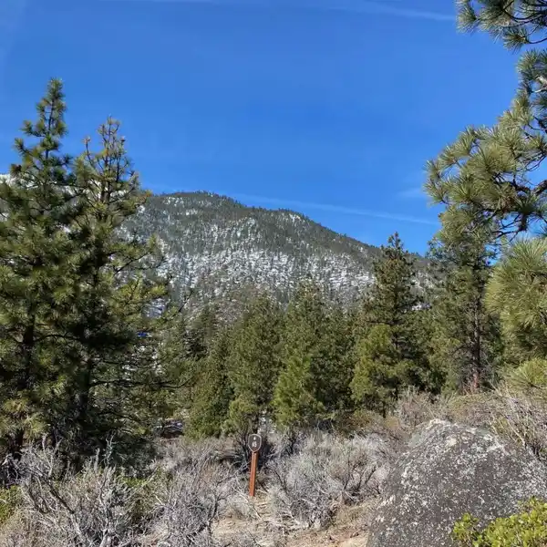 EXCEPTIONAL SITE IN CLEAR CREEK TAHOE