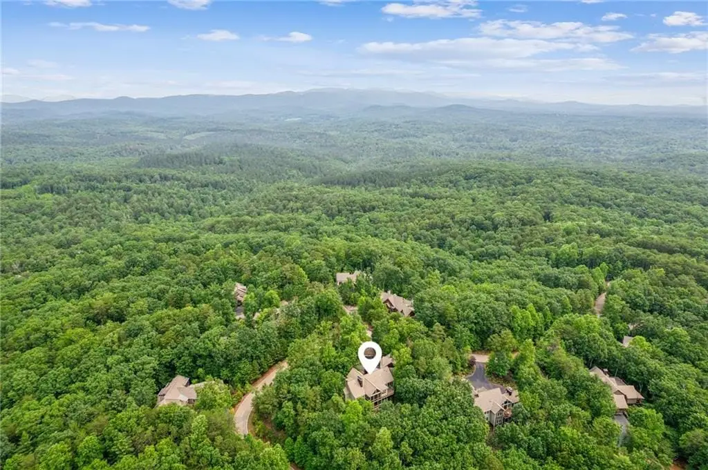 Large Image