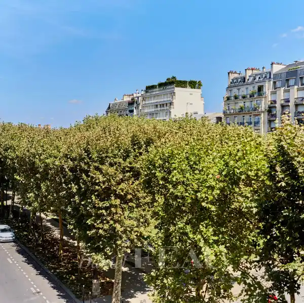 ARTIST'S STUDIO BATHED IN SUNSHINE