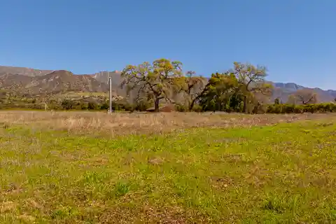 Unmatched Privacy on 12 Acres with Panoramic Views