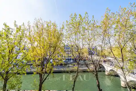 Lovely Apartment Overlooking the Seine