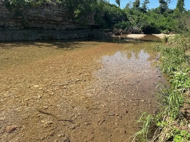 Large Image