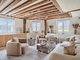 Sunlit Top-Floor Duplex Facing Palais Royal