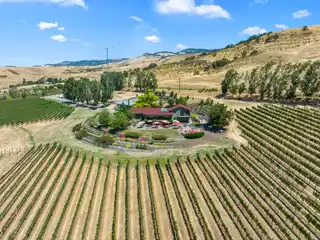 Dana Campbell Vineyards