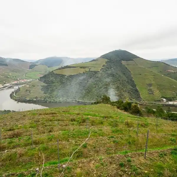 DISTINCTIVE RIVERFRONT WINE ESTATE