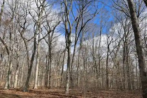 Build Your Dream Home on Six Acres in Singing Wood Farm