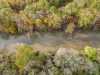 GORGEOUS CONASAUGA RIVER-FRONT PROPERTY