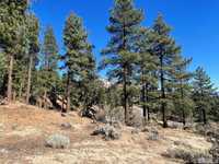 BUILD A DREAM HOME IN CLEAR CREEK TAHOE