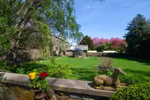 One-of-a-kind Magical Oasis