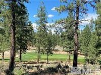 OPPORTUNITY AT CLEAR CREEK TAHOE - EXCITING NEW MOUNTAIN COMMUNITY