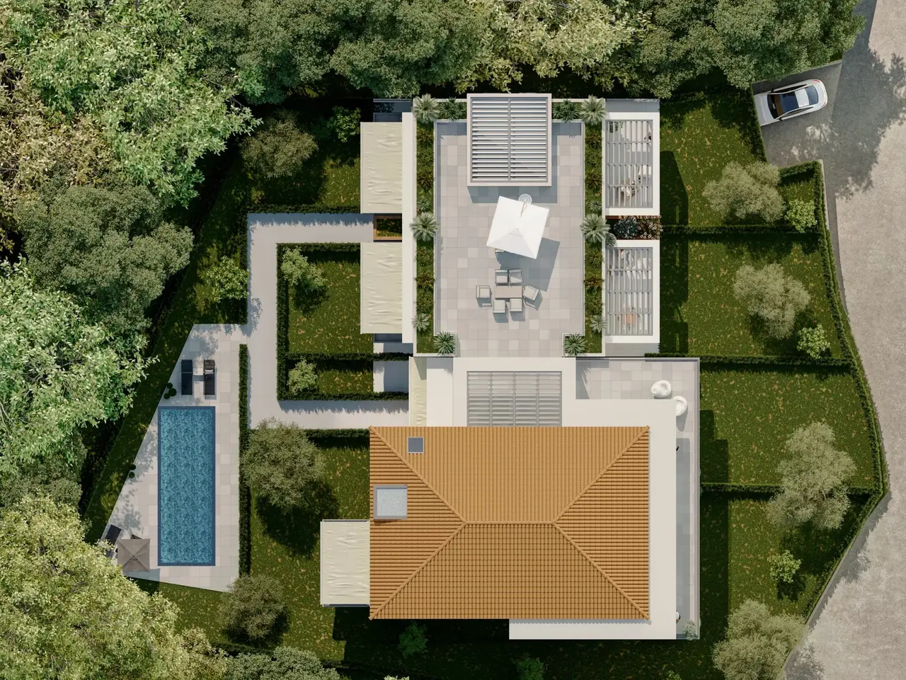 Large Image