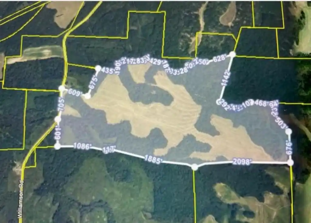 Over 200 Acres of Land in Madison County