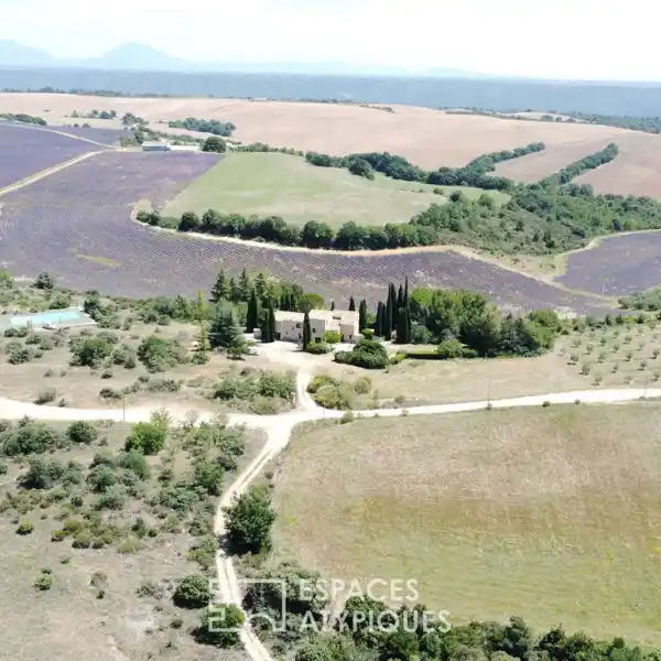 AN IDYLLIC PROVENCAL ART OF LIVING