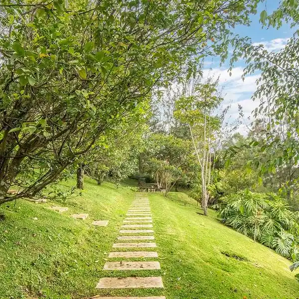 SINGLE-LEVEL MOUNTAINVIEW AT MONTERAN