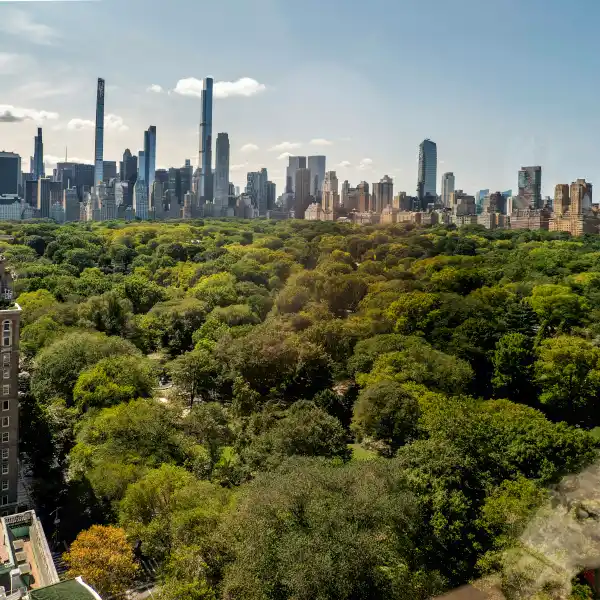TROPHY DUPLEX ABOVE CENTRAL PARK