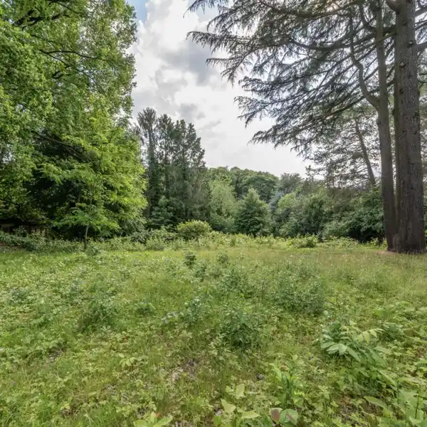 SUN-FILLED RURAL RETREAT WITH NATURE SURROUNDINGS