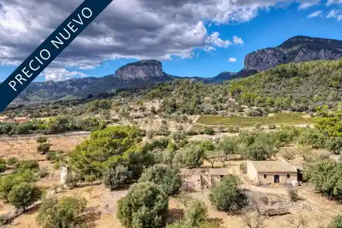 Expansive Property Offering Unique Possibilities