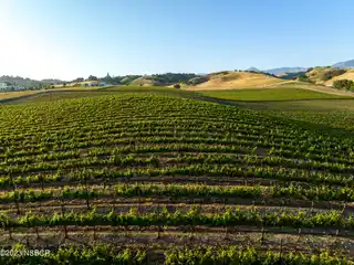 Build Your Dream Wine Country Estate on 20 Acres
