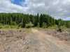 175 ACRES LLENOS DE POTENCIAL