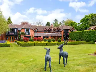 Exceptional Equestrian Property