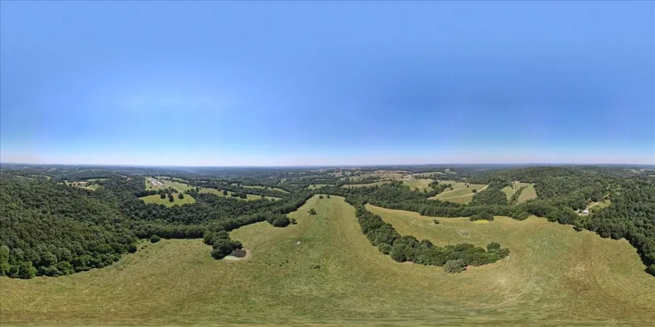 Large Image