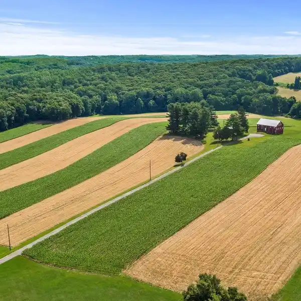 Farm