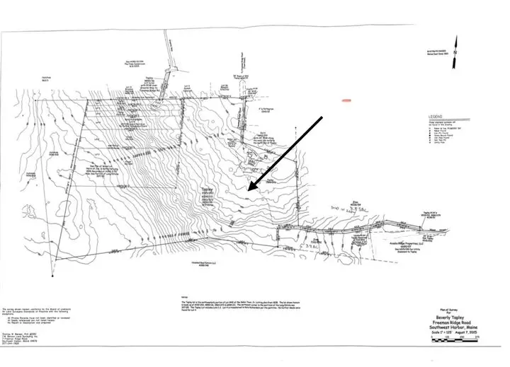 Large Image