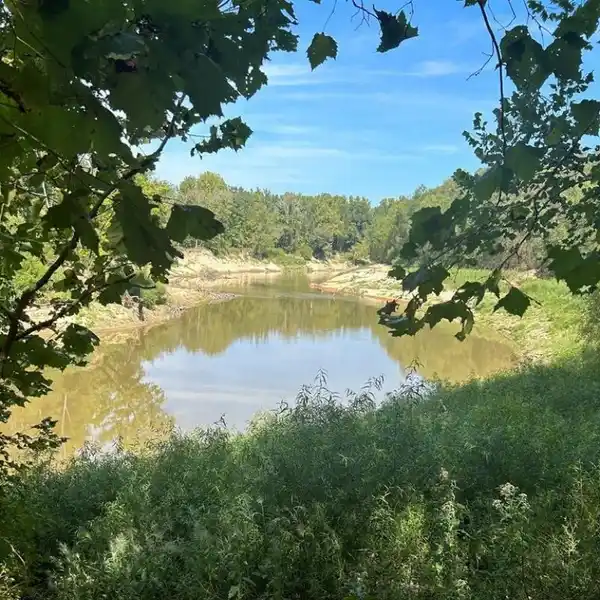 RARE PROPERTY ON THE BIG BLACK RIVER