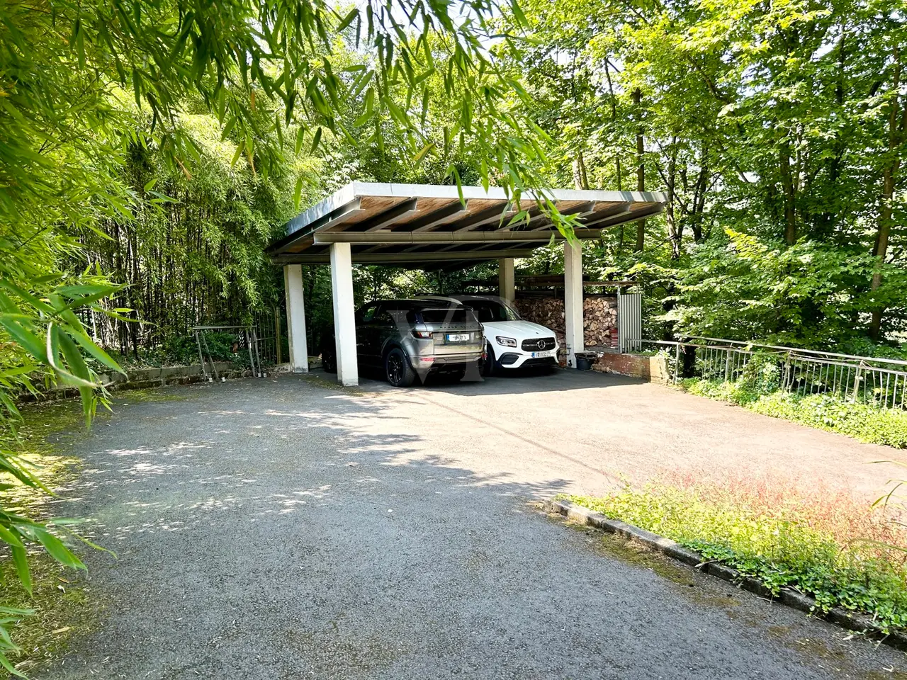 Large Image