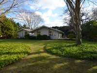 NEWLY RENOVATED MODERN OASIS