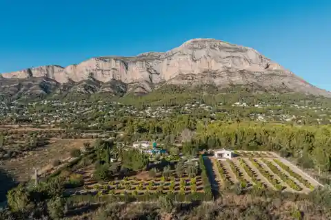 Exquisite Mediterranean Villa Surrounded by Fruit Groves