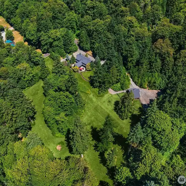 TIMELESS TREASURE AT TIGER MOUNTAIN