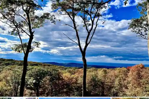 205 Acres of Pure Bliss