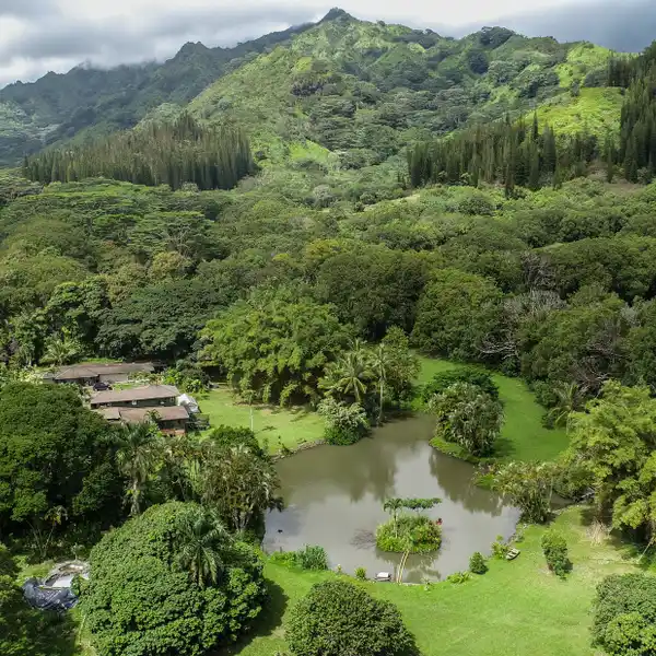 ONE OF A KIND PARADISE ON KAUA'I