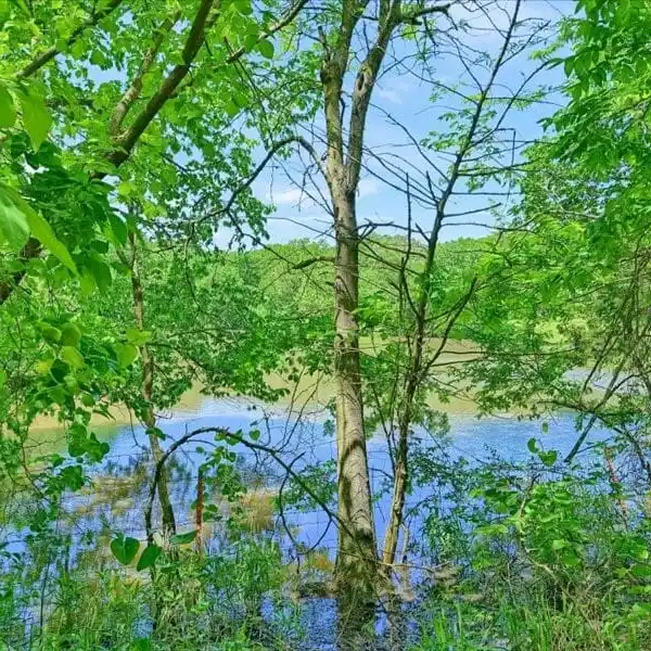 AN UNTOUCHED PARADISE