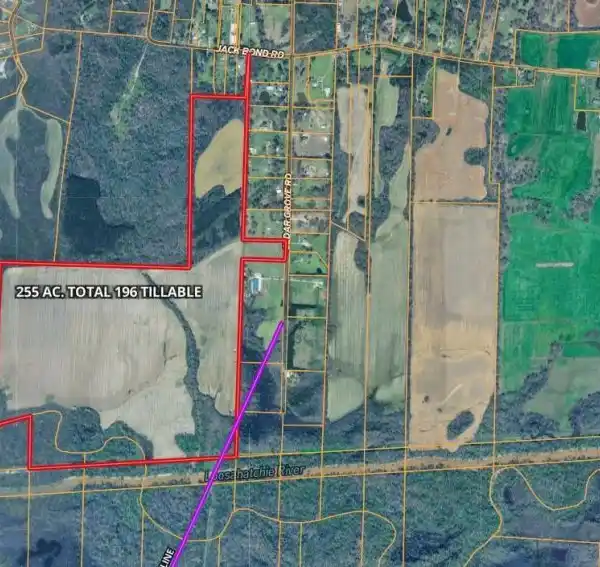 CEDAR GROVE 255 FARM