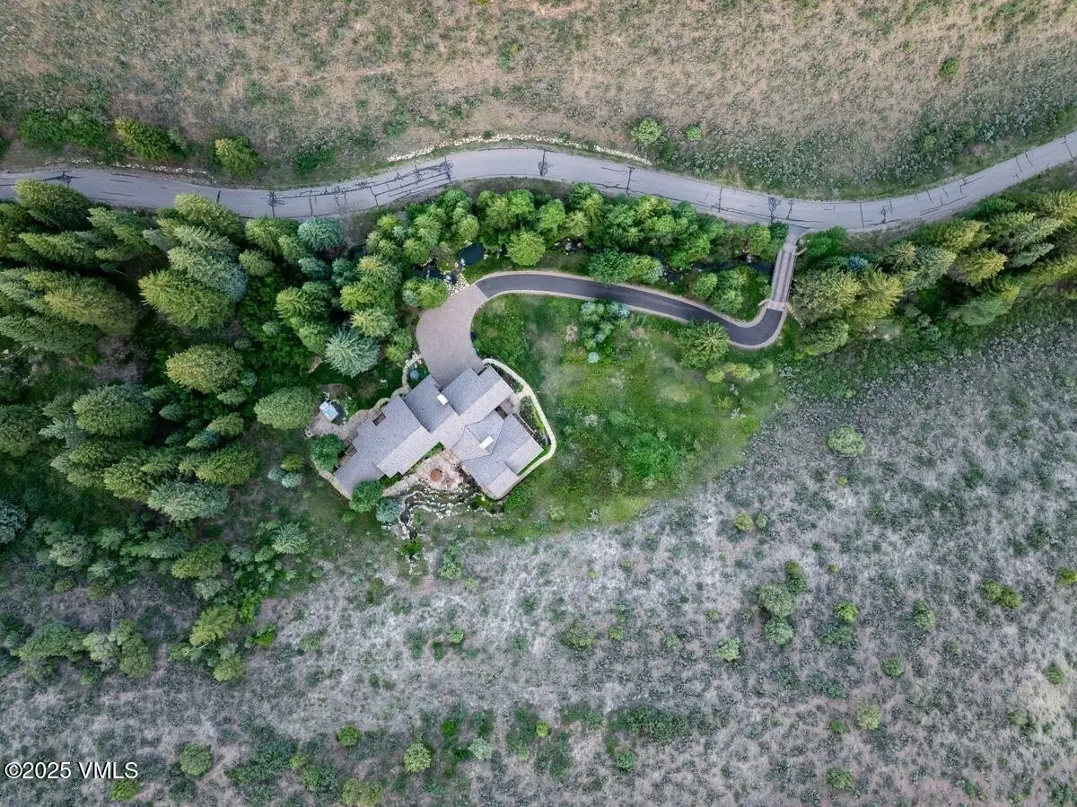 Large Image