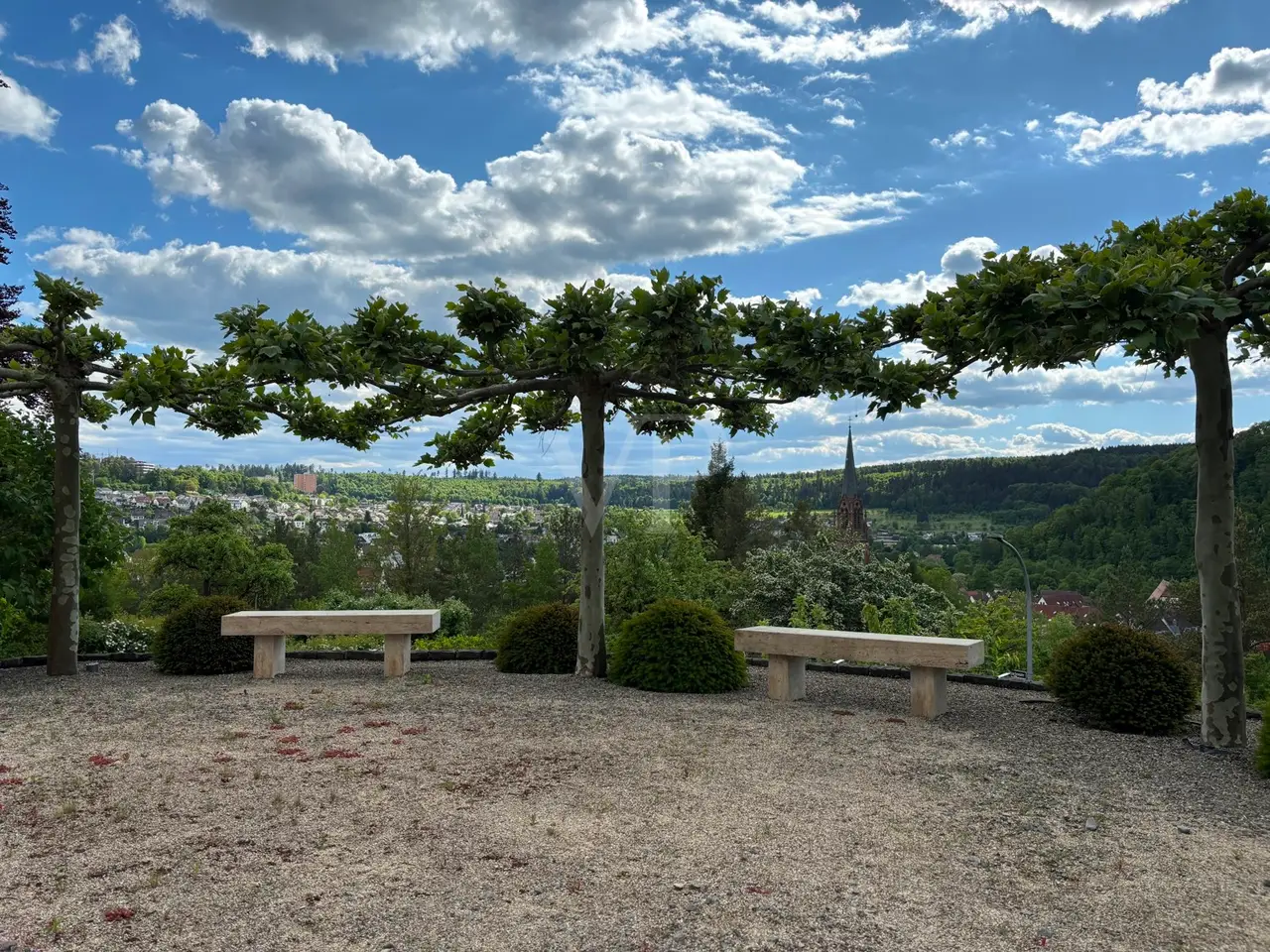 Small Image