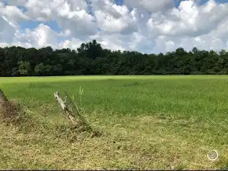 Gorgeous 3.57 Acres