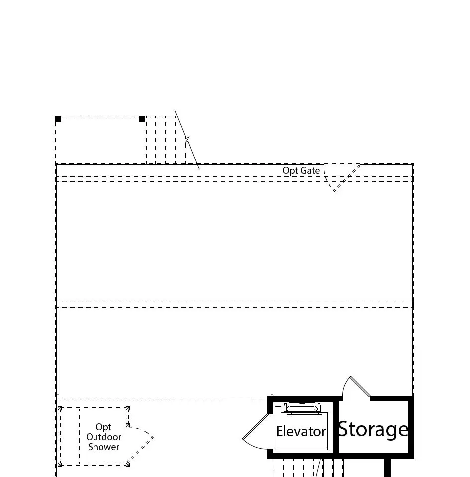 Large Image
