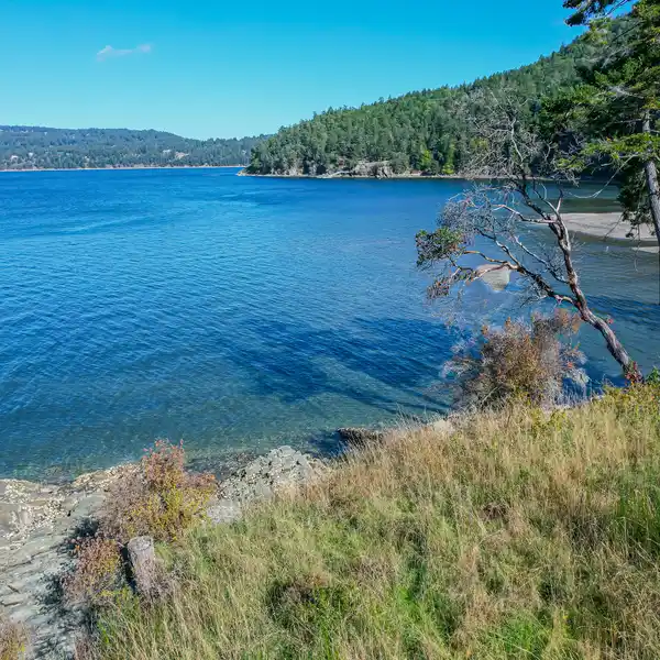 RARE, BEAUTIFUL WATERFRONT LOT