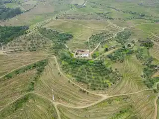 Exceptional Vineyard Property