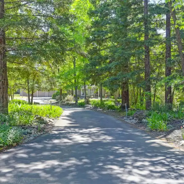 BEAUTIFUL PRIVATE OASIS IN THE HEART OF CARMICHAEL