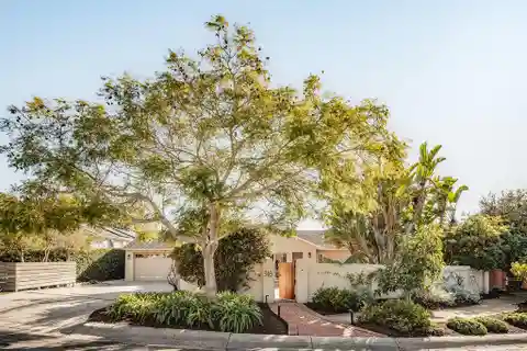 Contemporary Home in the Heart of San Roque