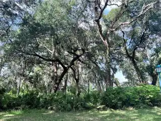 Wooded Corner Lot on Sea Island
