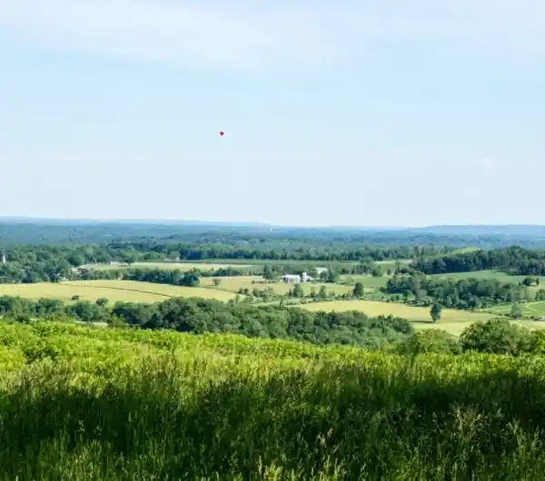 Land