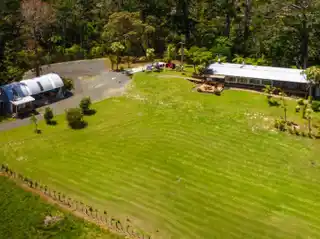 Sunlit Single-Level Log Cabin on Massive Lot