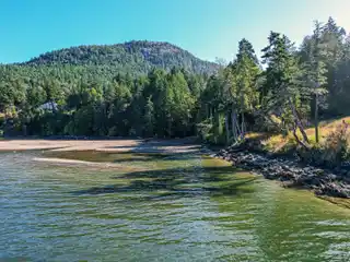 Low Bank Waterfront 3-acre Lot
