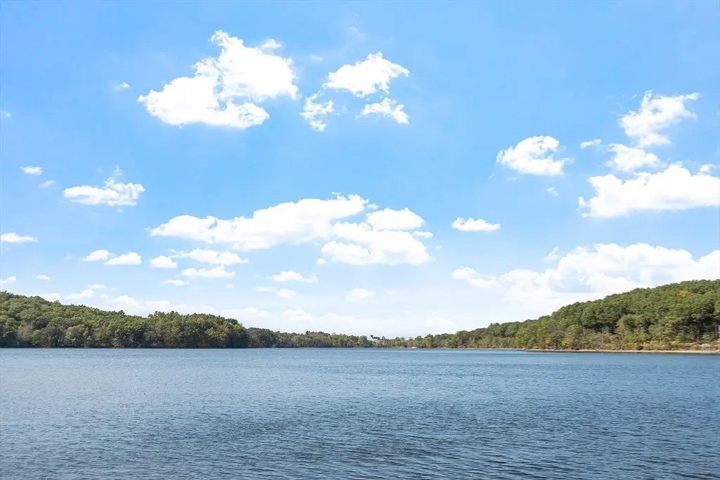 Large Image
