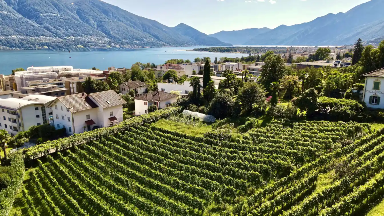 Beautiful Building Plot in an Exclusive Location